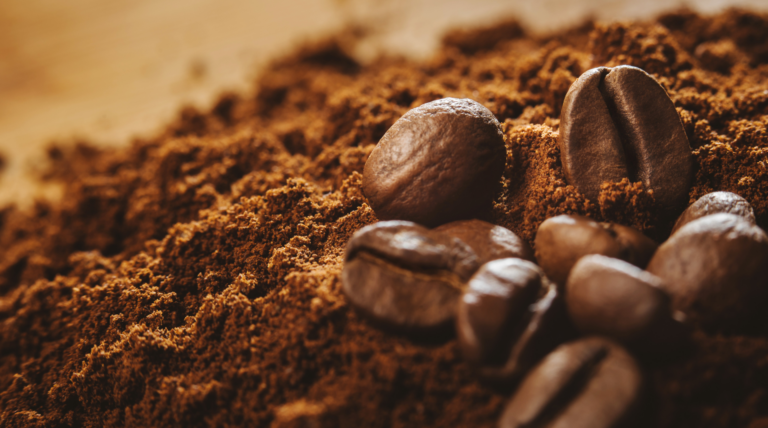 fermentação do café